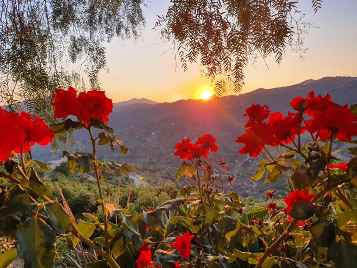 Cortijo La Rijana Villa Sayalonga ภายนอก รูปภาพ
